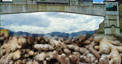 Gov. Gambito: Nueva Vizcaya’s Ginger Capital Title a Triumph for Local Farmers